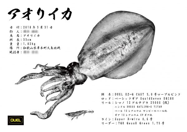 ヤリイカ