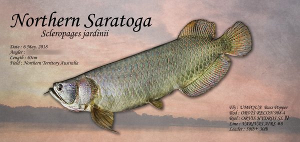 Northern Saratoga魚拓