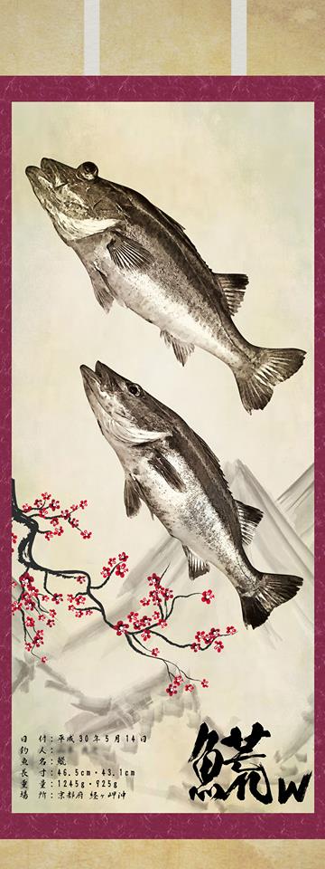 アラ掛け軸魚拓