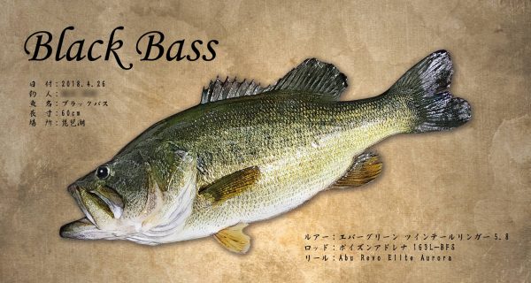 blackbass魚拓
