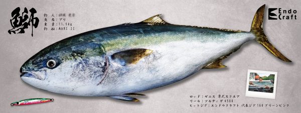 鰤魚拓