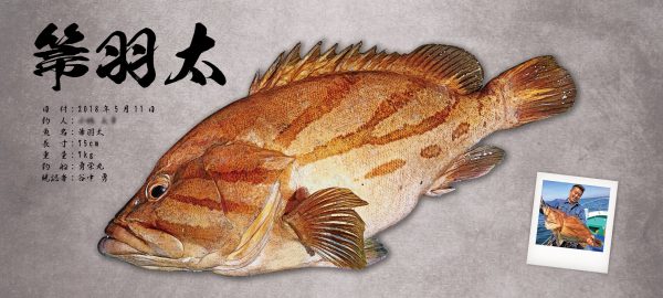 箒羽太デジタル魚拓