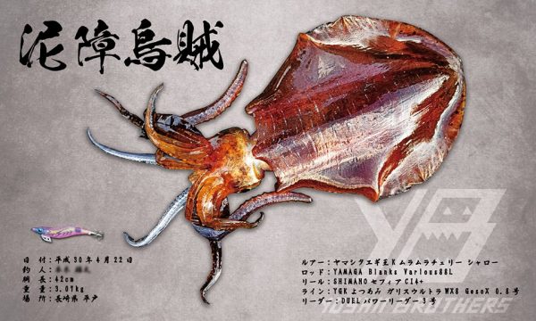 イカ拓