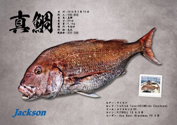 真鯛デジタル魚拓