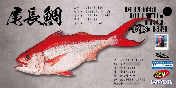 尾長鯛デジタル魚拓