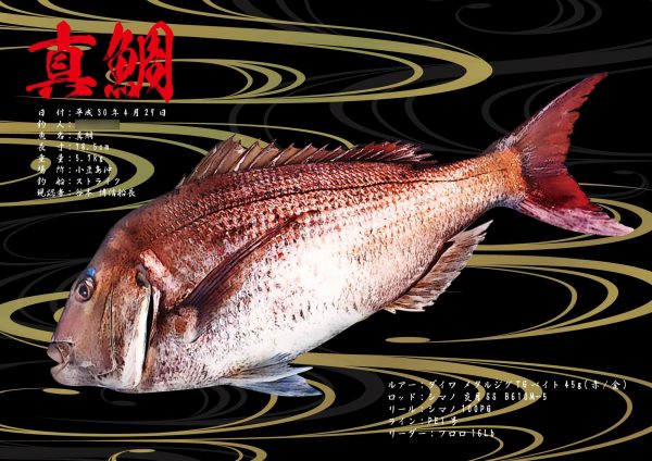 鯛デジタル魚拓