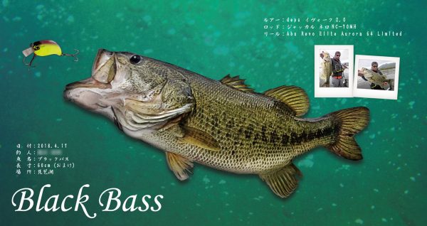 ブラックバス デジタル魚拓