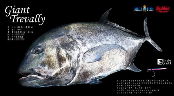 gt-gyotaku