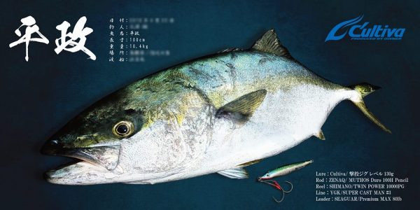 ヒラマサデジタル魚拓