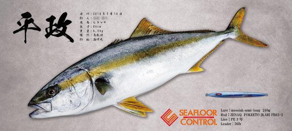 ヒラマサ魚拓