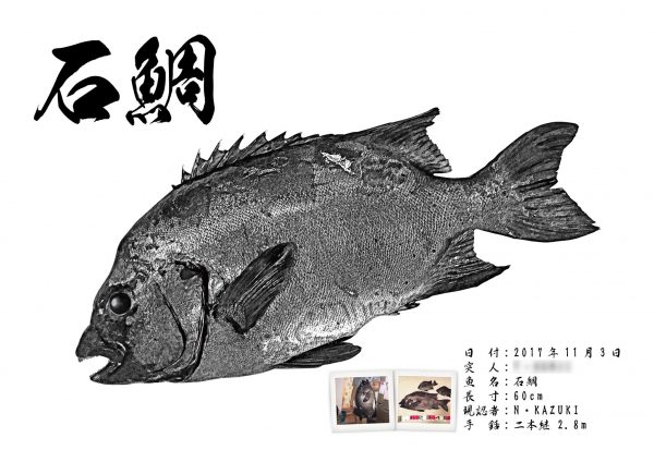 石鯛デジタル魚拓