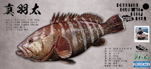 マハタデジタル魚拓